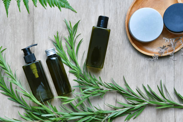 istock Cosmetic green bottle containers packaging with herbal leaves, Blank label for organic branding mock-up, Natural skincare beauty product concept. 1166313012