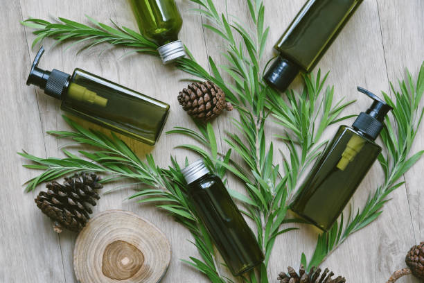 istock Cosmetic green bottle containers packaging with herbal leaves, Blank label for organic branding mock-up, Natural skincare beauty product concept. 1166313019