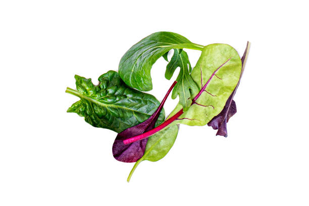 Pile of Salad Leaves isolated on white background. Green  salad with arugula, lettuce, chard, spinach and beets leaf. Pile of Salad Leaves isolated on white background. Green  salad with arugula, lettuce, chard, spinach and beets leaf. arugula falling stock pictures, royalty-free photos & images