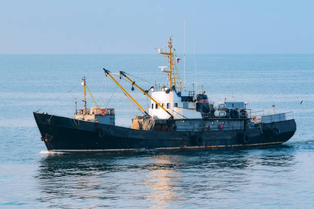istock fishing trawler returns to port in the calm 1166315869