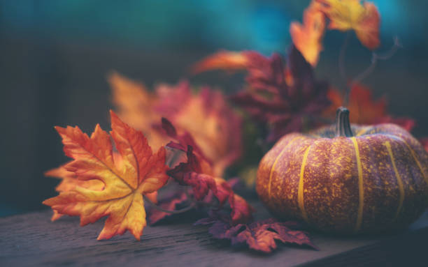 fondo de vida muerta de acción de gracias o halloween con calabaza y hojas - october fotografías e imágenes de stock