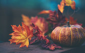 Thanksgiving or Halloween Still Life Background with Pumpkin and Leaves