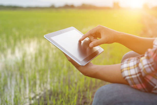 istock Asian young farmer using tablet at the green rice field 1166322251