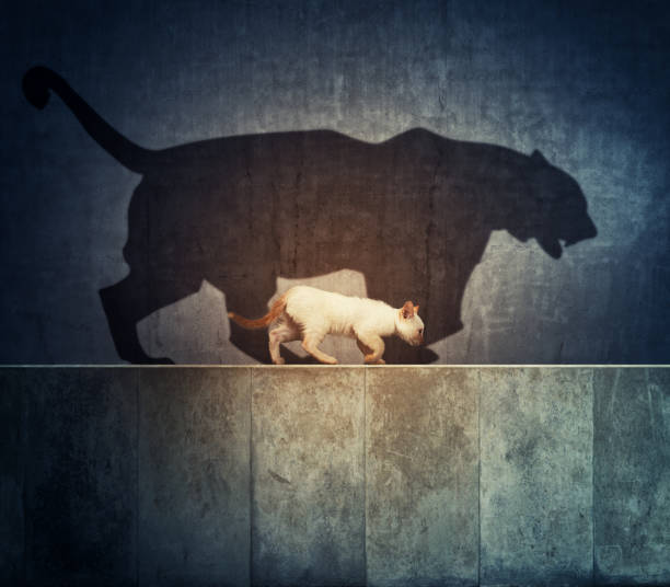 istock A small cat and a big tiger shadow 1166327187