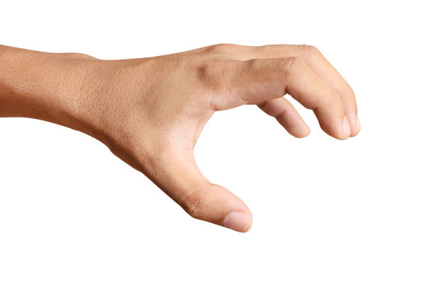 istock hand with index finger isolated on white background 1166328082