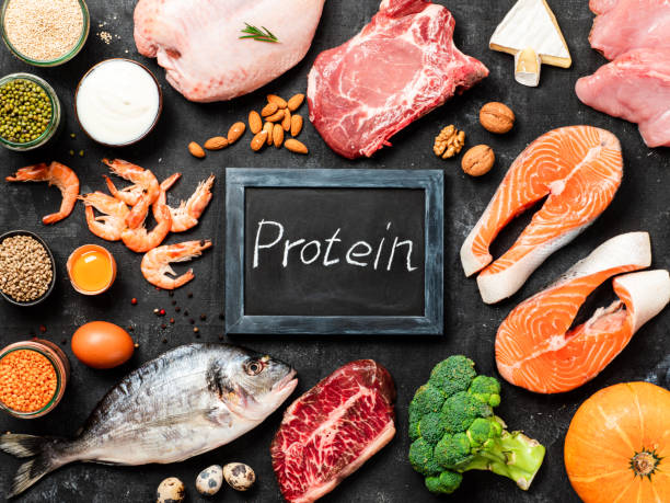 Protein sources concept, top view or flat lay stock photo