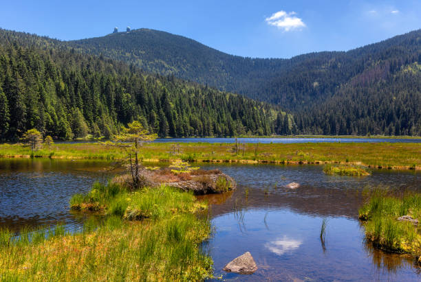 istock Smal lake on great arber 1166335452