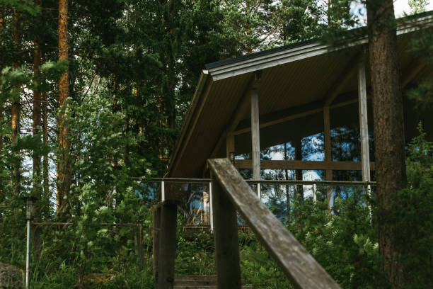 Scandinavian style house in the Northern green forest