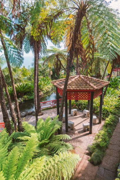 istock gazebo in Chinese garden 1166339848
