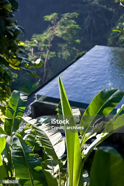 Foto de Jungle Piscina e mais fotos de stock de Atividade Recreativa - Atividade Recreativa, Azul, Bali