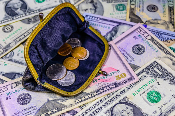 istock Old wallet with american cent coins over the dollar banknotes 1166343796