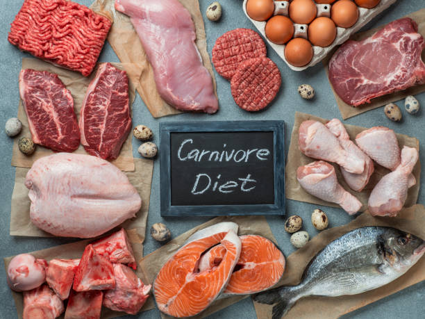 dieta carnívora, concepto de cero carbohidratos, vista superior - carnivore fotografías e imágenes de stock