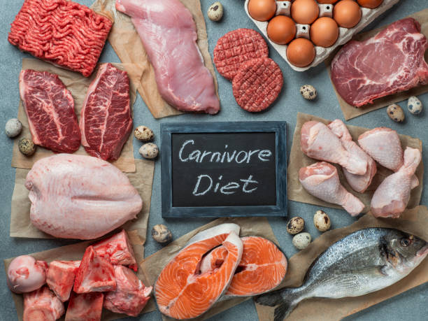 Carnivore diet, zero carb concept, top view Carnivore diet concept. Raw ingredients for zero carb diet - meat, poultry, fish, seafood, eggs, beef bones for bone broth and words Carnivore Diet on gray stone background. Top view or flat lay. carnivorous photos stock pictures, royalty-free photos & images