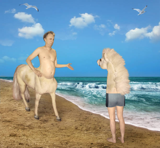 centaur ontmoet een vreemd paard - gekke paarden stockfoto's en -beelden