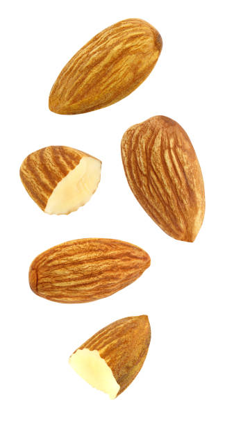istock Almonds nuts kernels cores whole and broken in half five pieces soaring, falling, flying isolated on white background with clipping path. Set of parts. Full depth of field. 1166346681