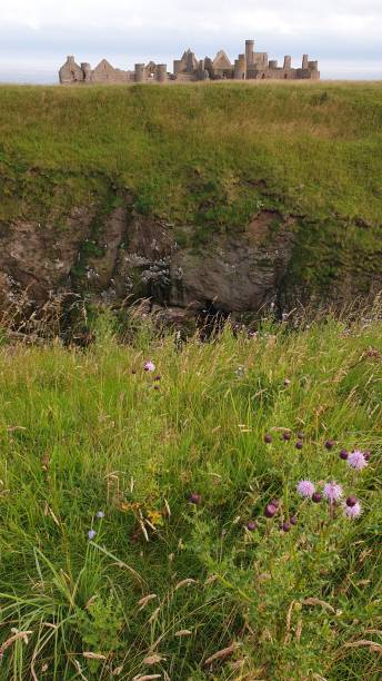 istock Ruined old house on clifftops 1166346871