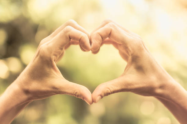 istock Hands shaped into a heart. Love concept. 1166348373