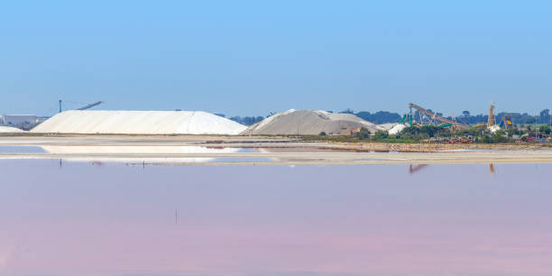 istock Saline in the Camargue 1166348405