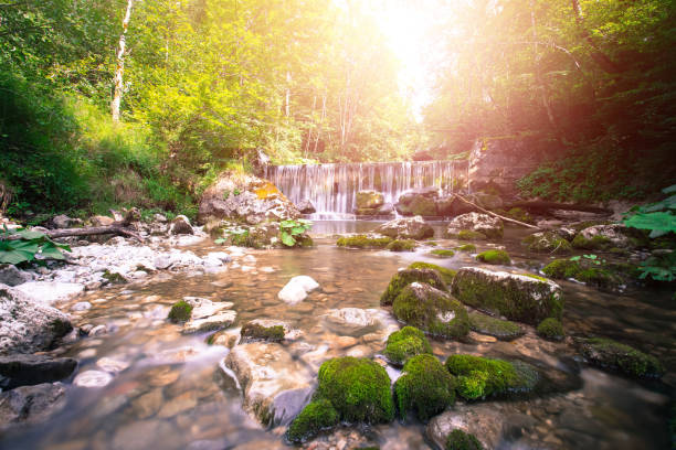 bellissimo paesaggio in europa: fiume alpino, cascata e luce solare nella foresta - rainforest austria nature tree foto e immagini stock