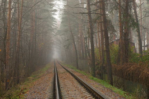 Abandoned railway in the forest in the fog. Mysterious abandoned railway.