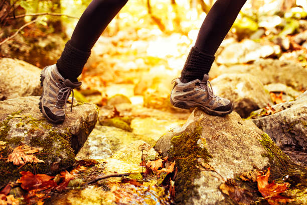 Young woman enjoying nature in green forest