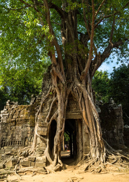 istock Ta Som temple in Angkor Wat complex, Cambodia, Asia 1166354988