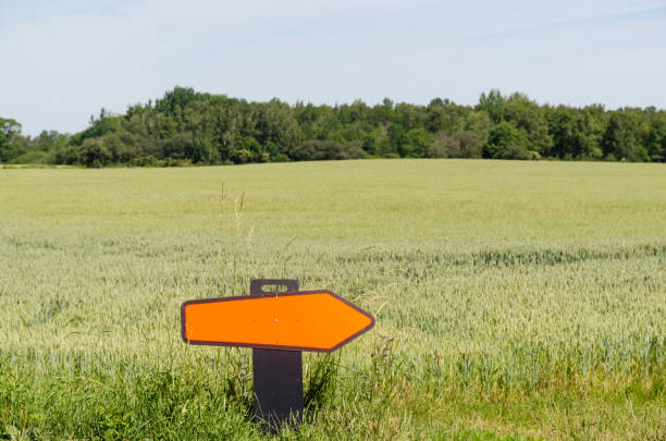 Turn right road sign in a farmers field stock photo