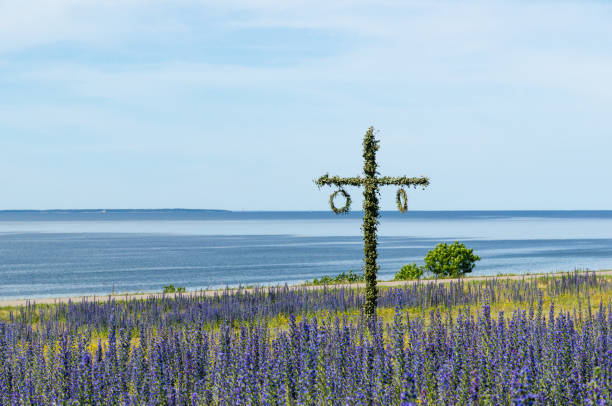 Maypole in a blossom blue field by the coast in Sweden stock photo