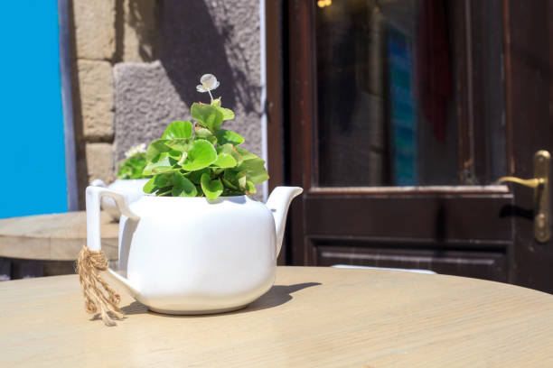 White teapot with growing flower wooden table near house