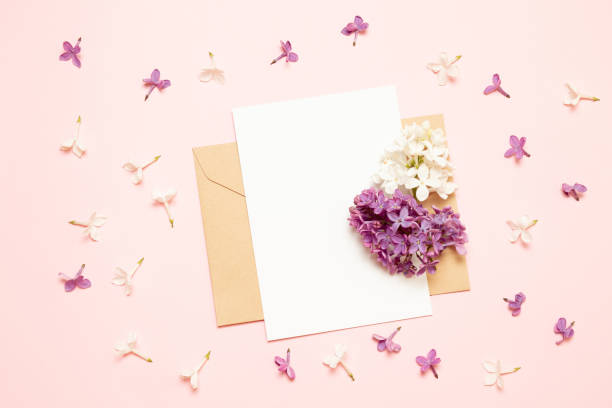 istock Mockup white greeting card and envelope with branches of lilac on a pink background 1166361247