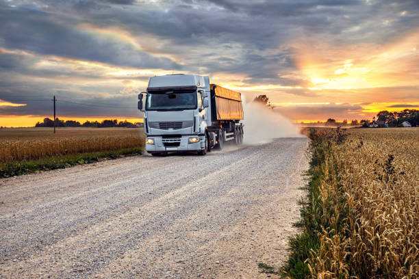 camion di grano su una strada rurale vicino a un campo di segale nella stagione del raccolto al tramonto - semi truck foto e immagini stock