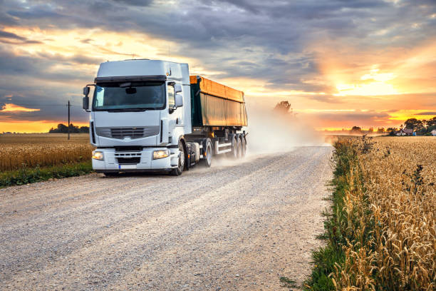 camion di grano su una strada rurale vicino a un campo di segale nella stagione del raccolto al tramonto - semi truck foto e immagini stock