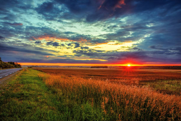 istock Fantastic sunset over the fields in the countryside next to the road 1166364579