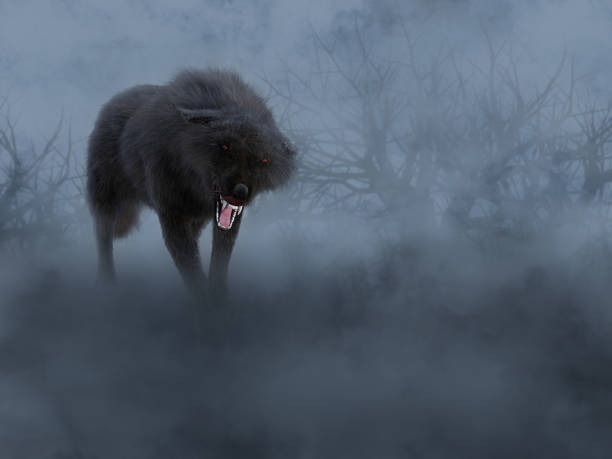 3d rendering of a black wolf with glowing red eyes. - dog alarm imagens e fotografias de stock