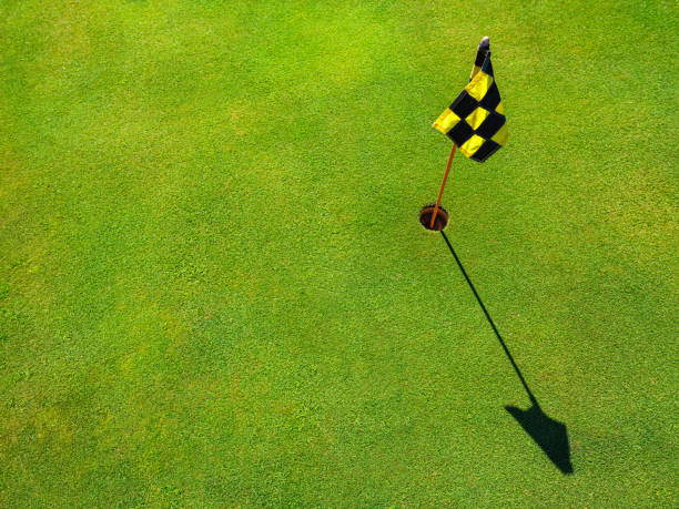 istock Ball on the putting green 1166365062