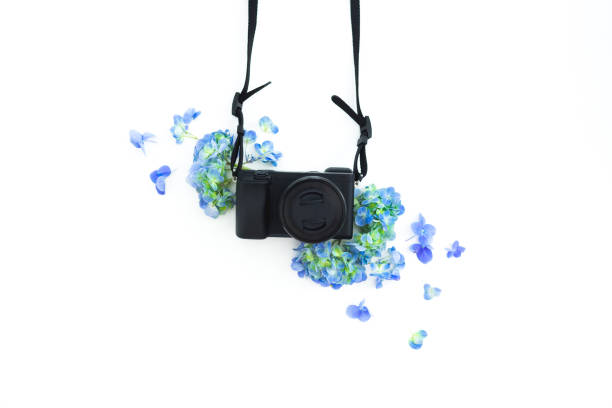 istock Composition with photo camera and hydrangea flowers on white background. Flat lay, top view. 1166365930