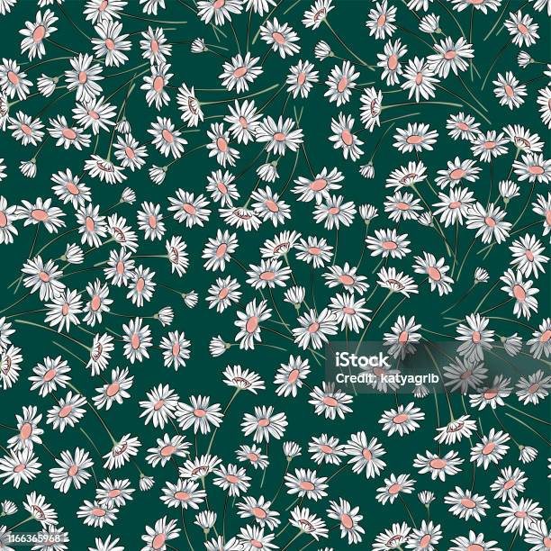 Vector Seamless Delicate Daisy Flower Pattern Stock Illustration ...