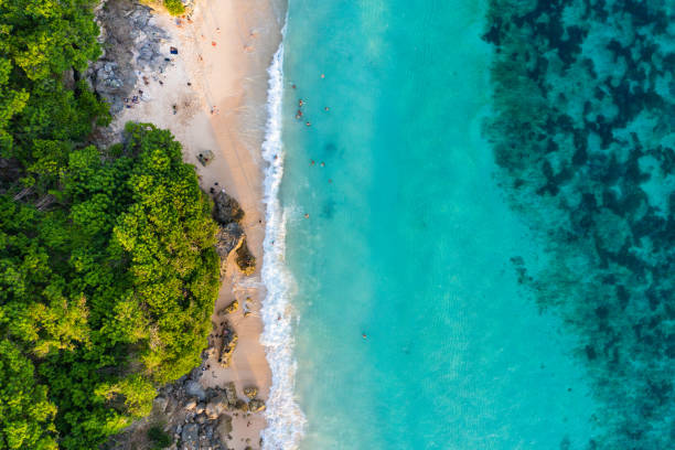 istock Bali - beach from above. Aerial drone shot 1166366013