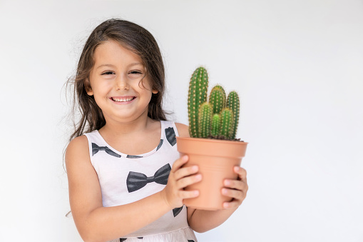 Cute little girl holding cactus plant in hands