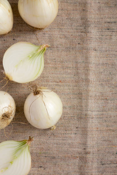 istock Raw white onions on cloth, view from above. Flat lay, overhead, top view. Copy space. 1166369194