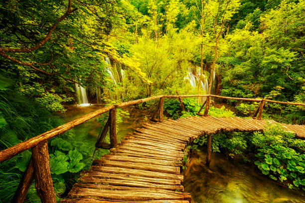istock Plitvice Lakes National Park, Croatia 1166373030