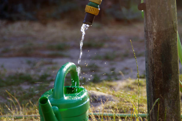 istock Drop filling watering can 1166376622