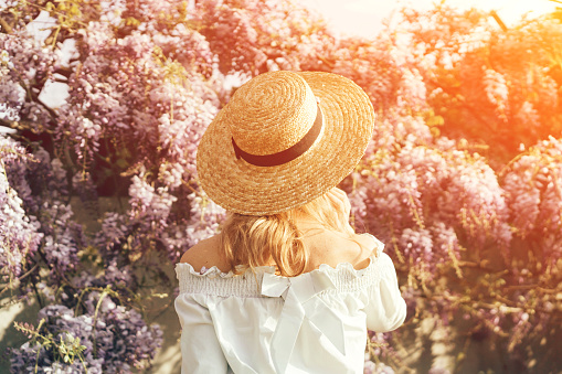 Beautiful caucasian woman in a straw hat outside on a background of blooming wisteria smoothes at sunset, view from the back.
