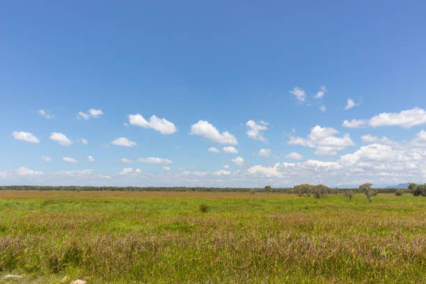 large outdoor grass field at Phatthalung, Thailand large outdoor grass field at Phatthalung, Thailand phatthalung province stock pictures, royalty-free photos & images