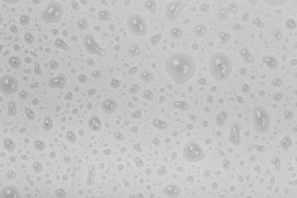 Water drops on glass background. Rain droplets on white glass background