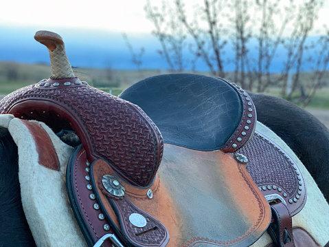 sunlight Rider Leather Saddles
