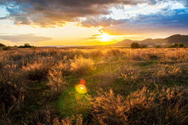 istock Intense sunset with massive clouds covering the sky 1166383886