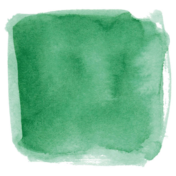 Watercolor green background vector art illustration