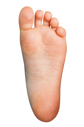 Isolated Human Sole on White Background. Cutted out Right Foot.