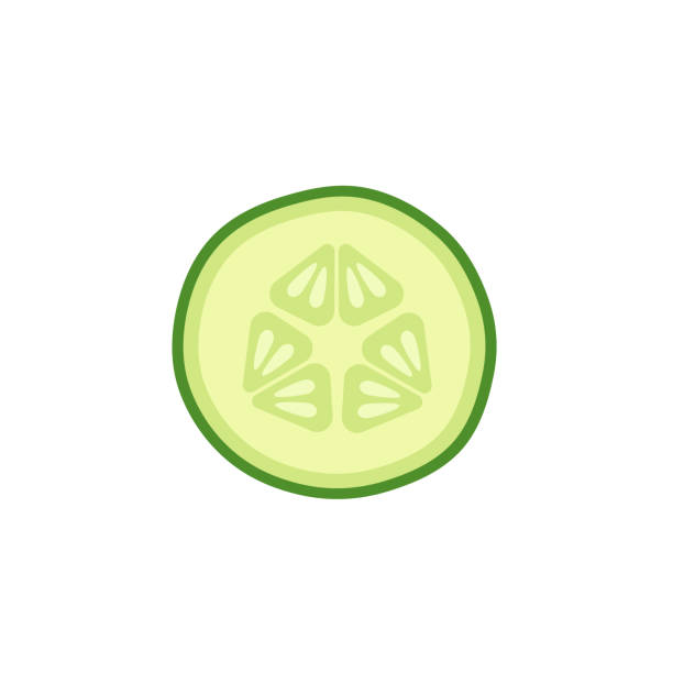 ilustraciones, imágenes clip art, dibujos animados e iconos de stock de rebanada de pepino sobre fondo blanco - cucumber